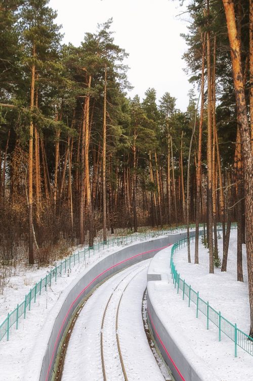 winter forest railway