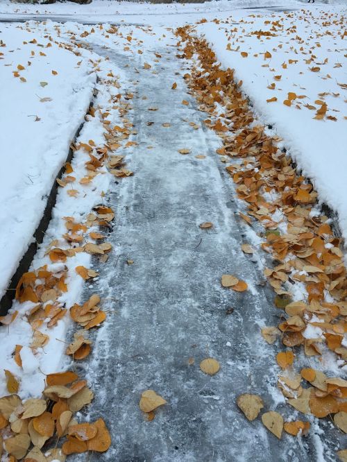 winter way tracks