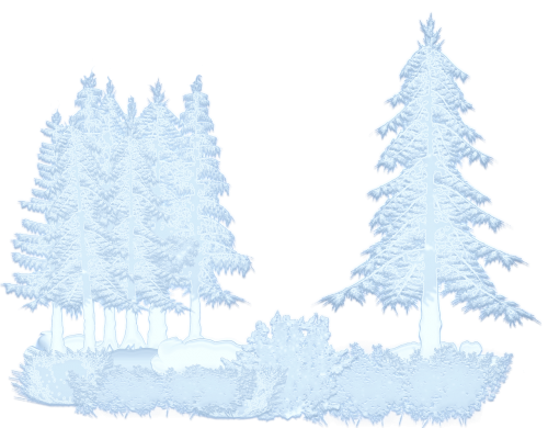 winter snow trees