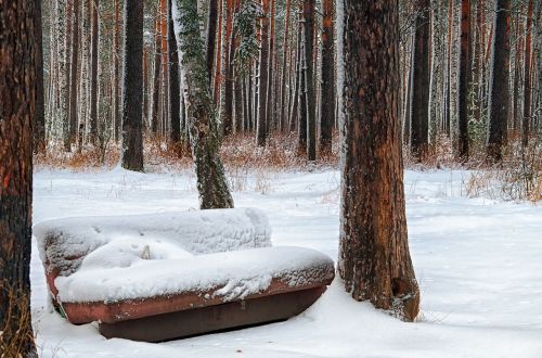 winter sofa forest