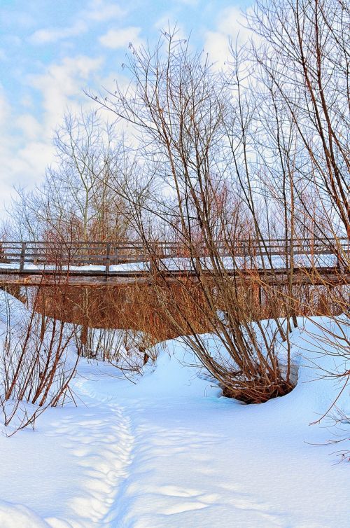 winter bridge river