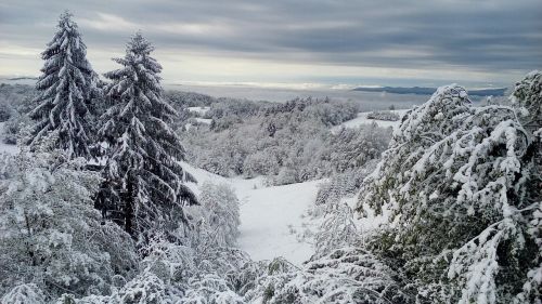 winter snow nature