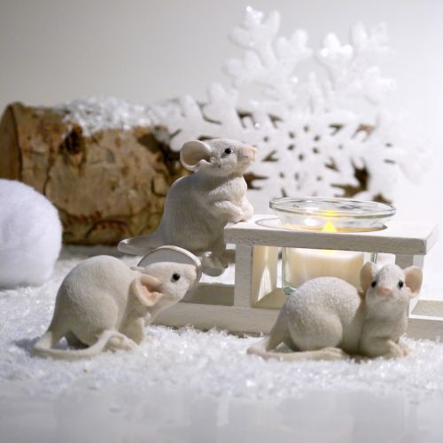 winter mouse advent