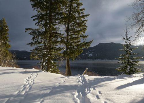 winter scenery canim lake