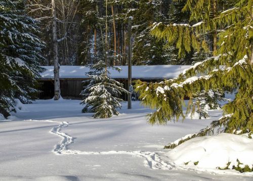 winter scenery canim lake