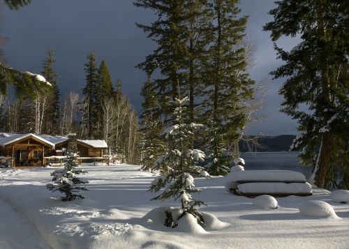 winter scenery canim lake