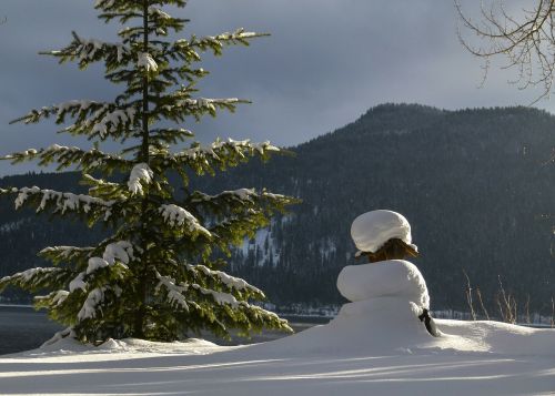 winter scenery canim lake