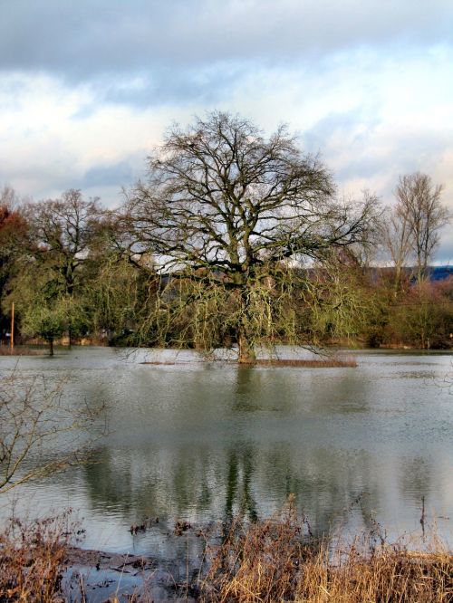 winter high water nature reserve