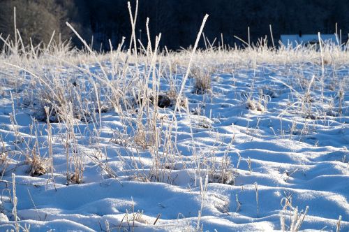 winter snow landscapes