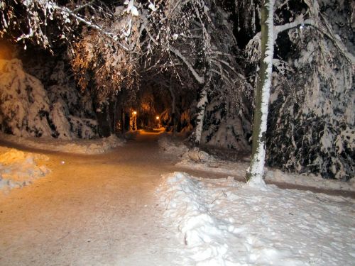 winter snow landscape