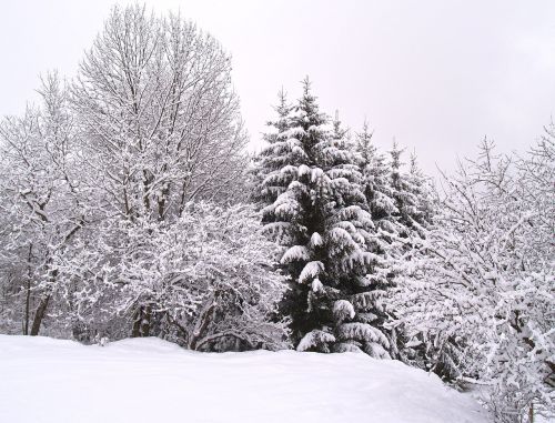 winter wintry snow