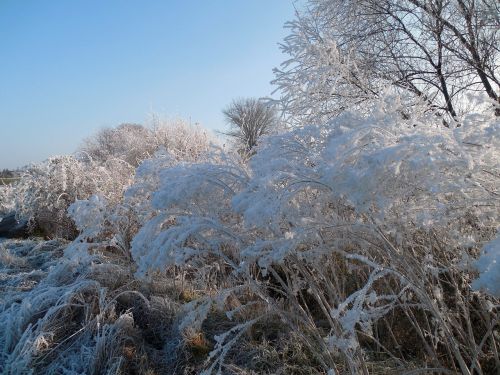 winter wintry december