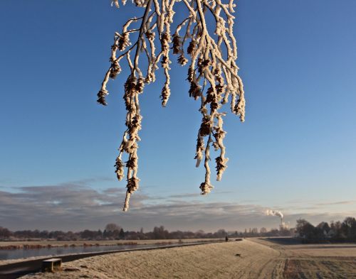 winter cold nature