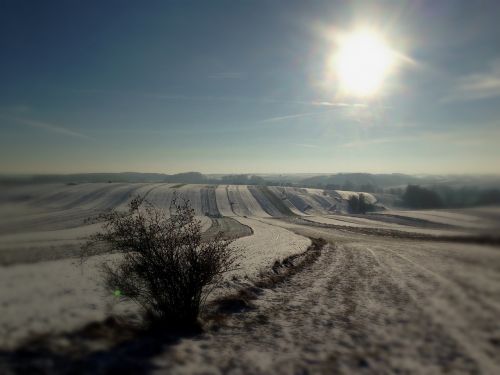 winter fields landscape