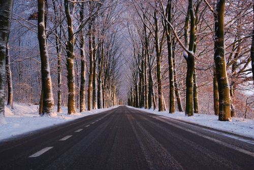 winter road snow
