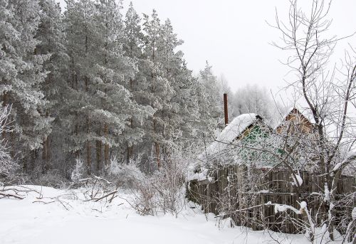 winter forest house
