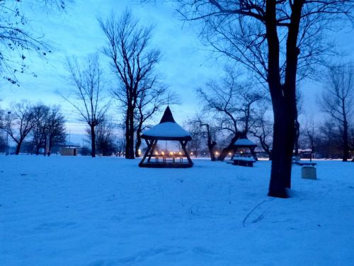 winter sunset landscape