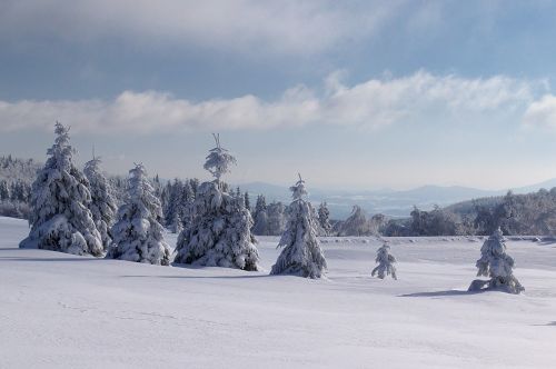 winter snow panorama