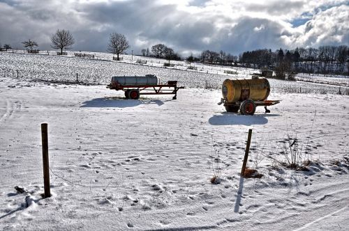 winter nature snow