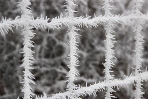 winter fence ice