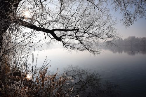 winter lake mood