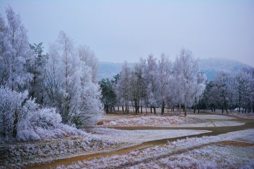 winter hoarfrost frost