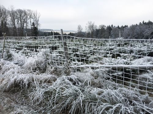 winter snow nature