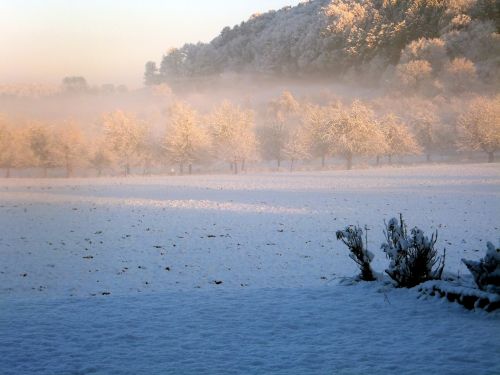 winter sunrise lake constance