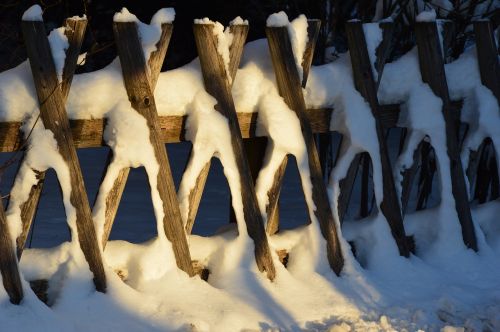 winter snow nature