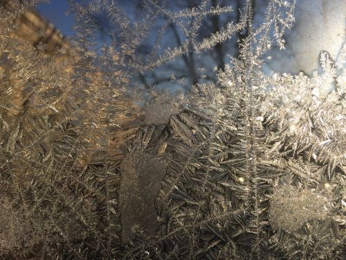 winter frost window