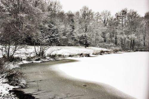 winter snow nature