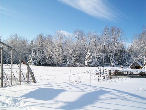 winter wonderland landscape