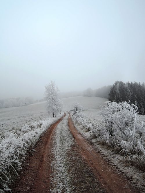 winter landscape view