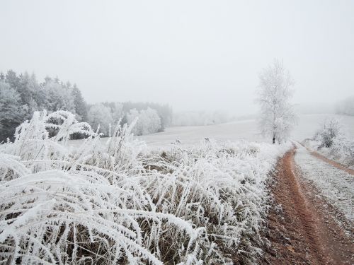 winter landscape view