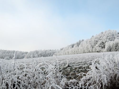 winter landscape view