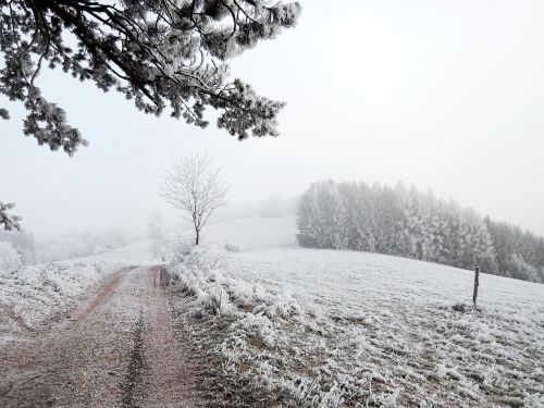 winter landscape view