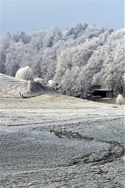 winter snow wintry