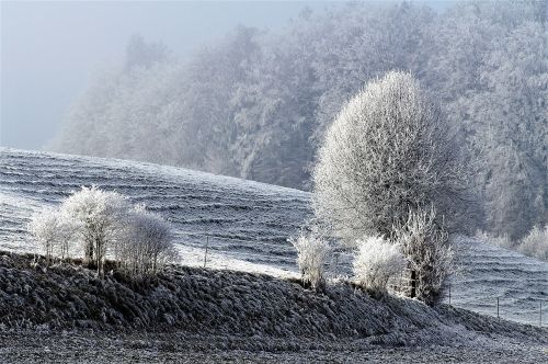 winter snow wintry