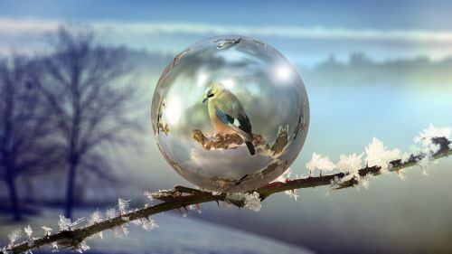 winter soap bubble abstract