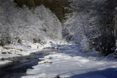 winter ripe landscape