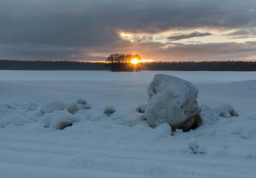 winter winter landscape