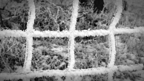 winter fence hoarfrost