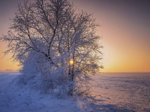 winter snow sunrise