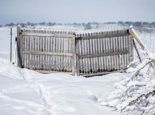 winter door snow