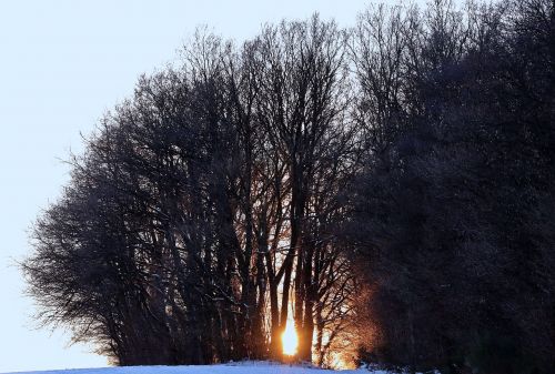 winter evening sun snow