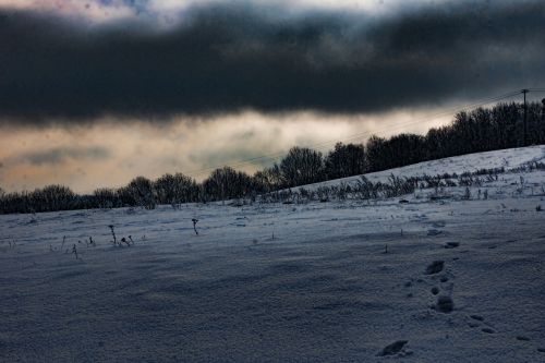 winter frost snow