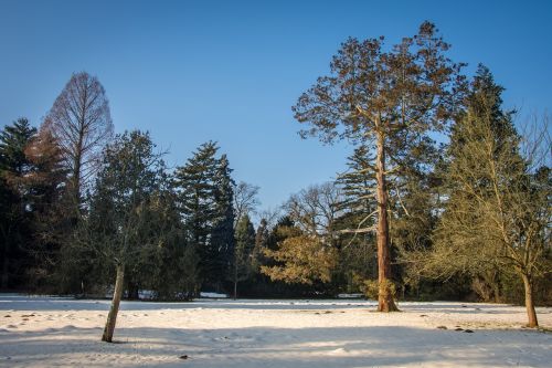winter park park wörlitz
