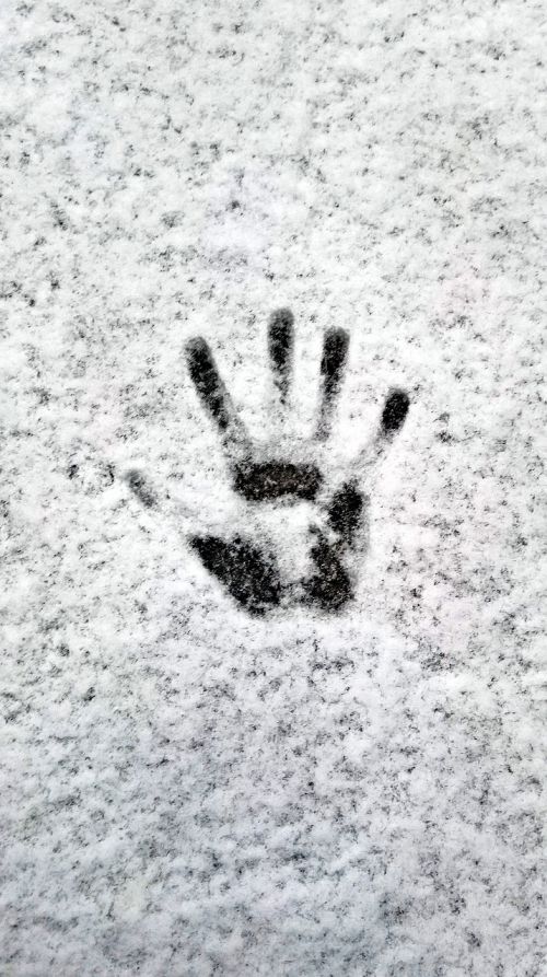 winter snow handprint