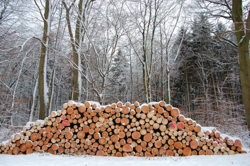 winter wood stack