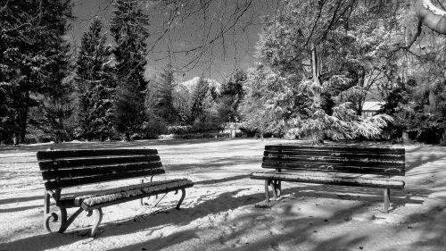 winter park winter landscape